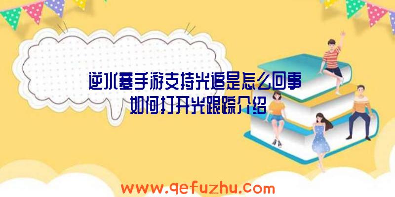 逆水寒手游支持光追是怎么回事